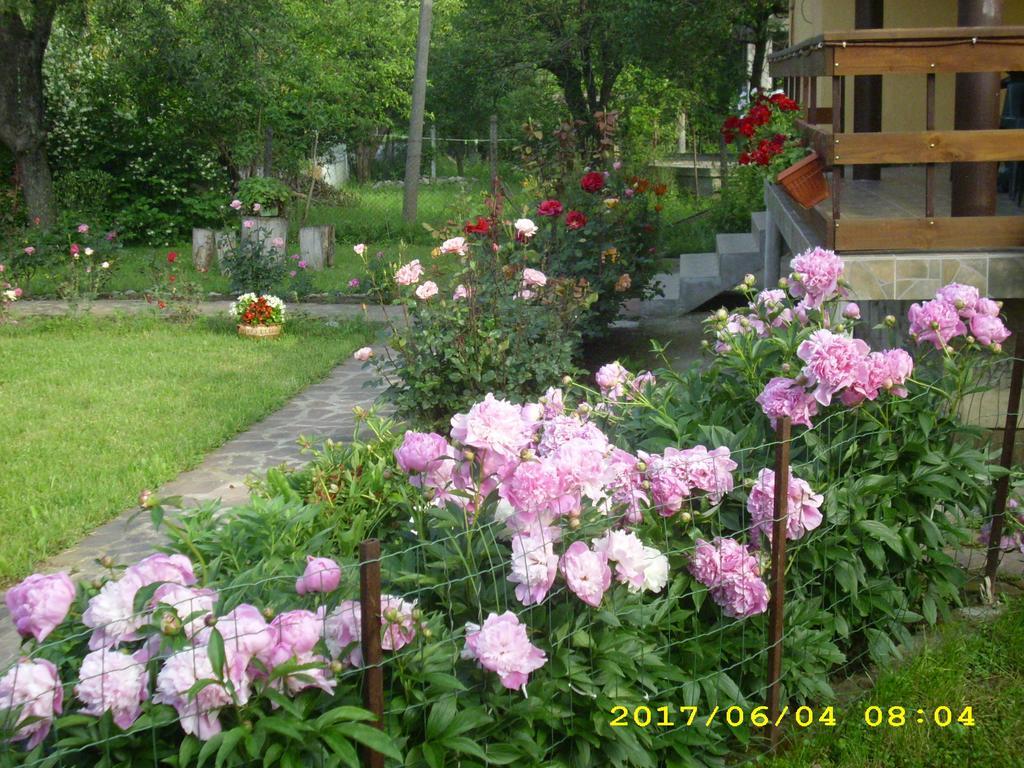 Villa 리바리차 외부 사진